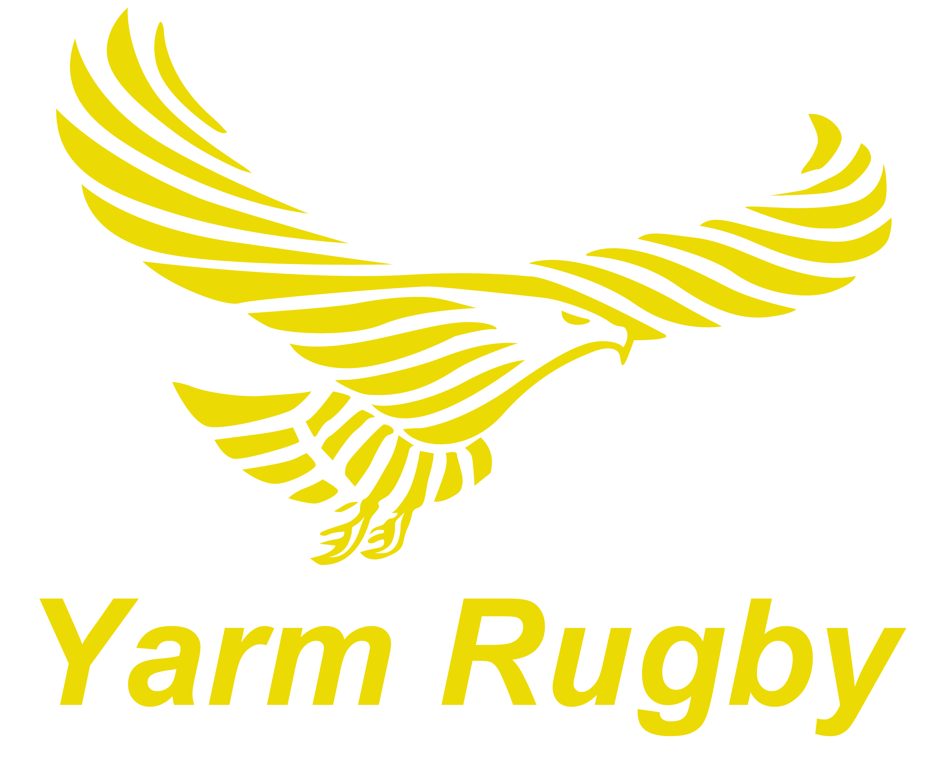 Yarm Rugby Club